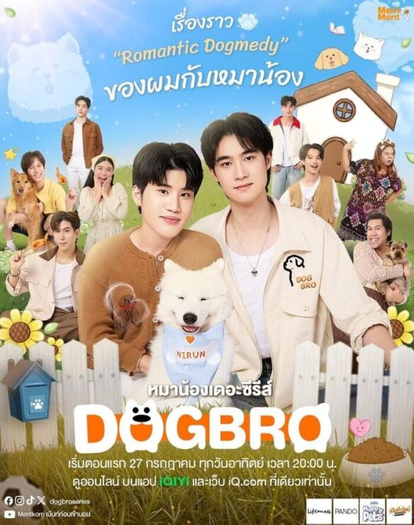 cac-thac-mac-ve-phim-dogbro Các thắc mắc về phim DogBro