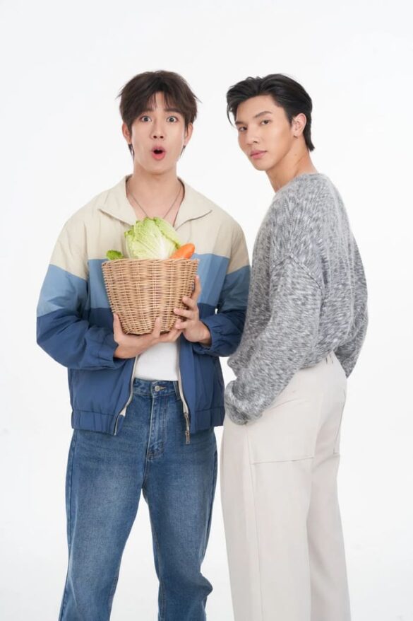 Dàn diễn viên trong phim Crazy Handsome Rich