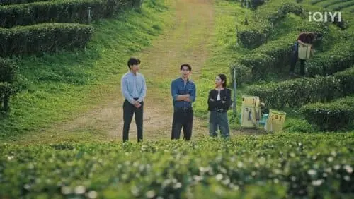your-dear-daddy-the-series-2026-hinh-anh-13 Your Dear Daddy The Series cảnh ba nhân vật đứng giữa đồi chè trò chuyện nghiêm túc